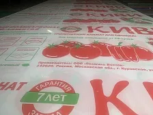 Сотовый поликарбонат КИВИ для теплиц