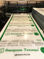 Сотовый поликарбонат СИБИРСКИЕ ТЕПЛИЦЫ 4 мм прозрачный - фотография 1