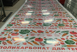Сотовый поликарбонат для теплиц 4 мм лайт прозрачный Сотовый поликарбонат для теплиц 4 мм лайт прозрачный