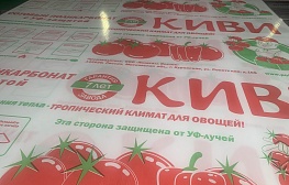 Сотовый поликарбонат КИВИ для теплиц