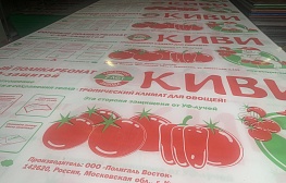Сотовый поликарбонат КИВИ для теплиц
