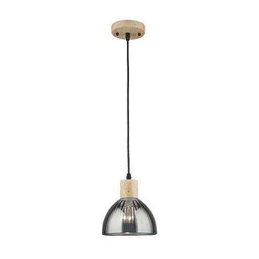 Светильник подвесной Arte Lamp Lancaster E27 60 Вт 2 кв.м черный/серый IP20 (A5869SP-1BK) Светильник подвесной Arte Lamp Lancaster E27 60 Вт 2 кв.м черный/серый IP20 (A5869SP-1BK)