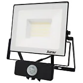 Прожектор светодиодный Ritter Profi 6500К 50 Вт IP65 с датчиком движения черный Прожектор светодиодный Ritter Profi 6500К 50 Вт IP65 с датчиком движения черный