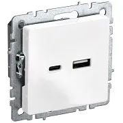 Розетка USB IEK Brite встраиваемая белая USB-A/ Type-C (BR-U22-018-K01)