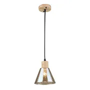 Светильник подвесной Arte Lamp Lancaster E27 60 Вт 2 кв.м черный/желтый IP20 (A5891SP-1BK) Светильник подвесной Arte Lamp Lancaster E27 60 Вт 2 кв.м черный/желтый IP20 (A5891SP-1BK)