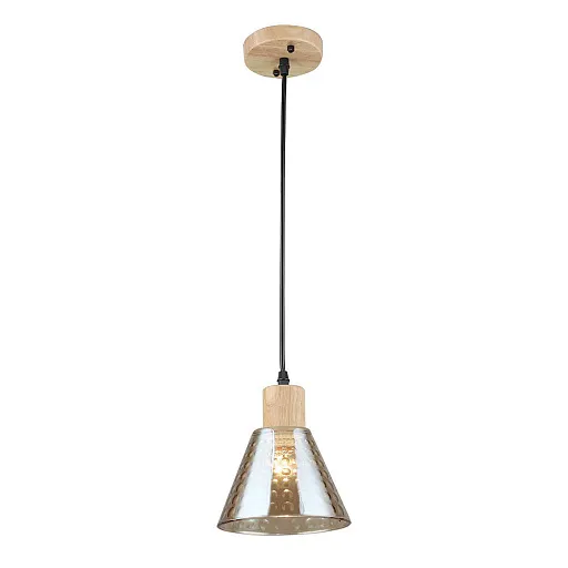 Светильник подвесной Arte Lamp Lancaster E27 60 Вт 2 кв.м черный/желтый IP20 (A5891SP-1BK) Светильник подвесной Arte Lamp Lancaster E27 60 Вт 2 кв.м черный/желтый IP20 (A5891SP-1BK)