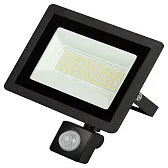 Прожектор светодиодный Эра LPR-042 6500K 50 Вт IP44 с датчиком движения черный Прожектор светодиодный Эра LPR-042 6500K 50 Вт IP44 с датчиком движения черный