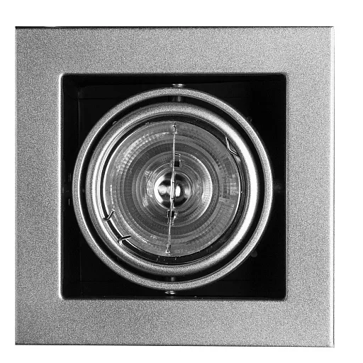 Светильник встраиваемый G5.3 поворотный серебро 50 Вт IP20 Arte Lamp Cardani Medio (A5930PL-1SI) Светильник встраиваемый G5.3 поворотный серебро 50 Вт IP20 Arte Lamp Cardani Medio (A5930PL-1SI)