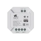 Умное реле для светодиодной ленты Arte Lamp Smart 220 В 2800 Вт IP20 (A90S-02CH-WF)
