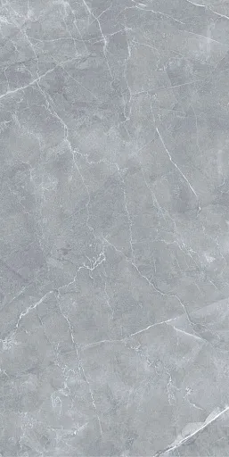 Керамогранит Staro Silk Gilio серый матовый 1200x600x9 мм (2 шт.=1,44 кв.м)