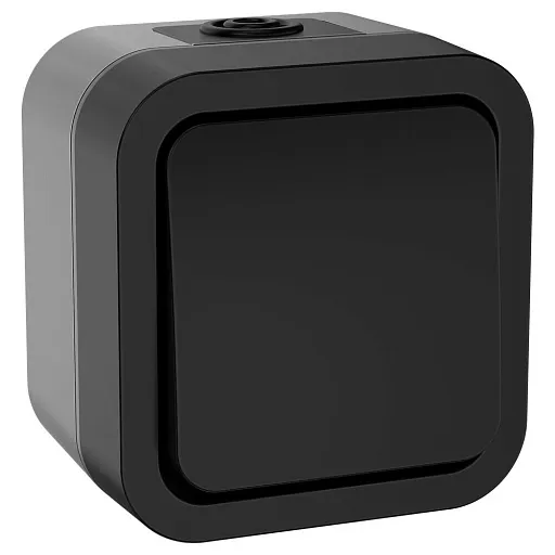Выключатель Tors TS111 одноклавишный накладной графит (TS-V16-0-10-55-K53) Выключатель Tors TS111 одноклавишный накладной графит (TS-V16-0-10-55-K53)