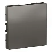 Заглушка Systeme Electric AtlasDesign встраиваемая сталь (ATN000909) Заглушка Systeme Electric AtlasDesign встраиваемая сталь (ATN000909)