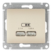 Розетка usb Systeme Electric Glossa GSL000433 скрытая установка титан IP20 два модуля USB